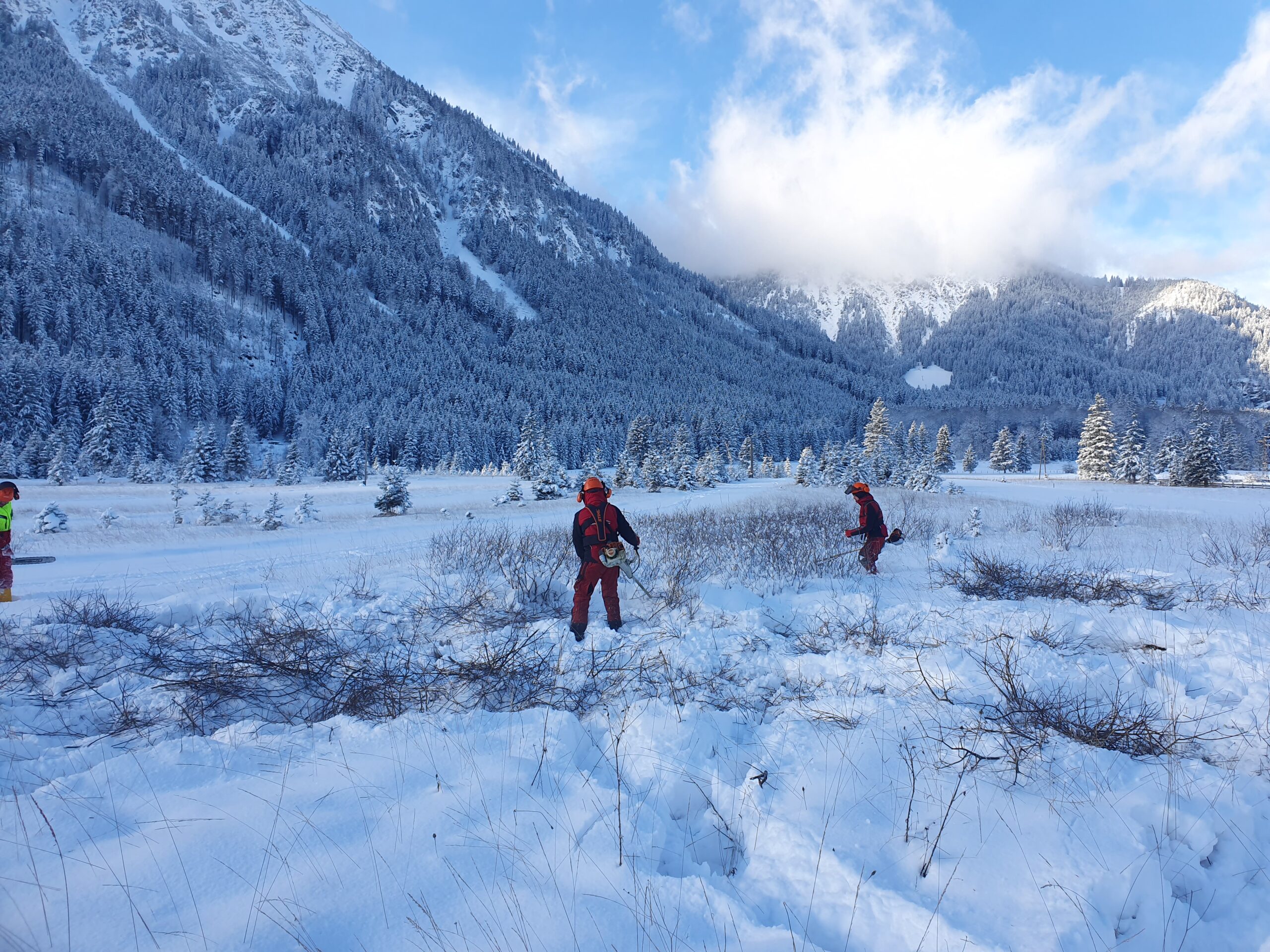 Arbeiter der Firma Königsberger ABE beim Entfernen von Sträuchern im Schnee mit Motorsensen